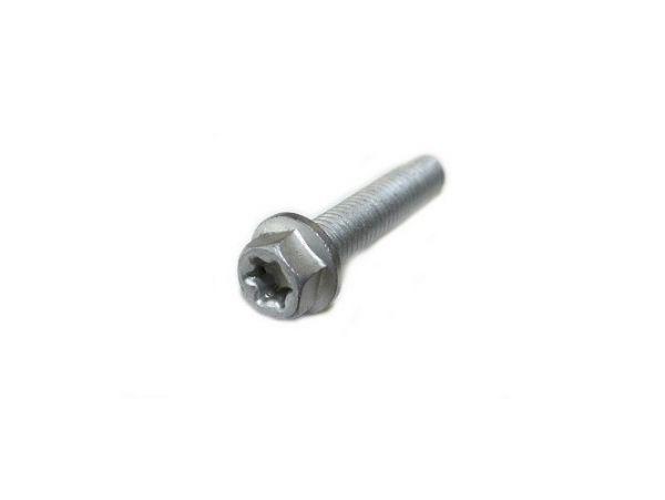 HH COLLAR SCREW M6X10 TX30