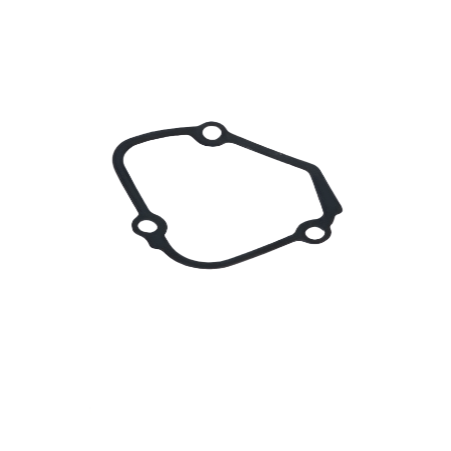 Garnitura OEM Power Valve stanga/dreapta 250/300 TBI 2024+