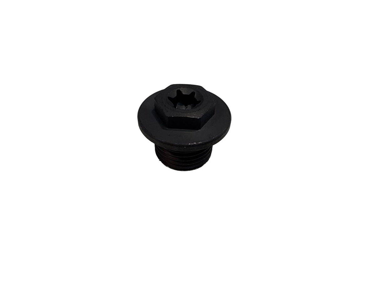 Screw plug M16x1.5 0900001600200