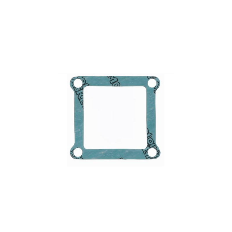 Gasket reed valve