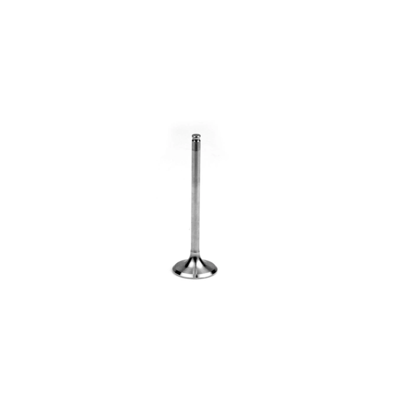 INTAKE VALVE