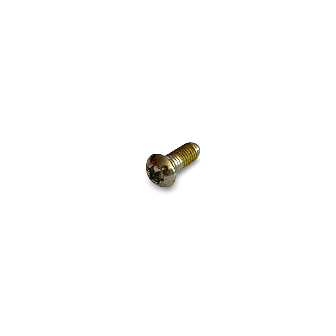 Oval head screw M6x20 TX30 Precote