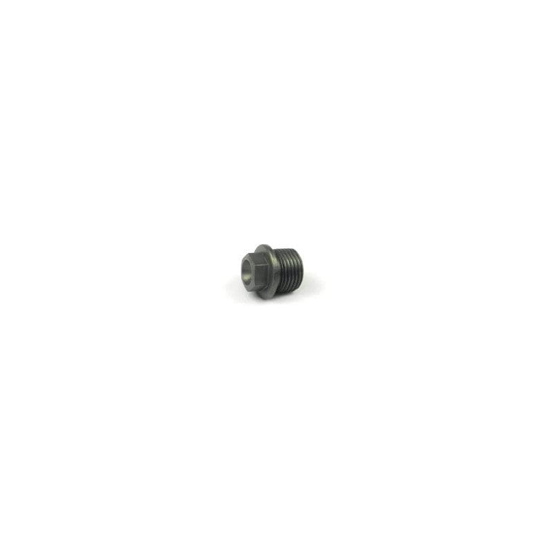 SCREW PLUG M17
