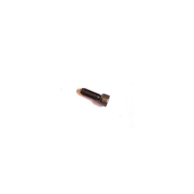 ADJUSTMENT SCREW M6X0,75