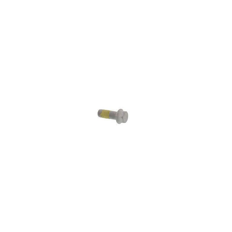 SPECIAL SCREW M6X16 WS 8  10.9