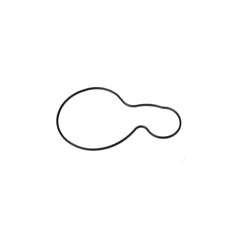 WATER-PUMP GASKET           06